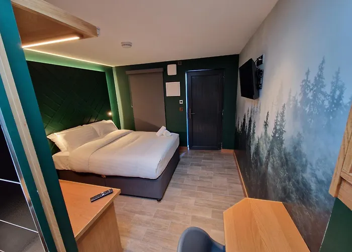 Lynch's Townhouse Guest house 3*