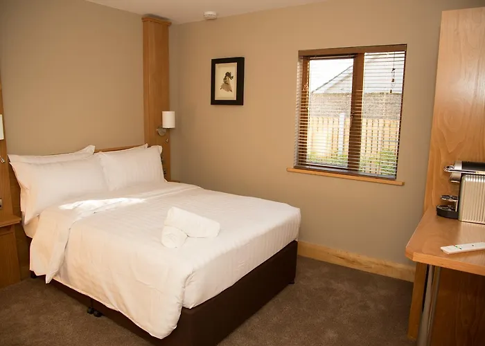 Guest house Lynch's Townhouse Tullamore